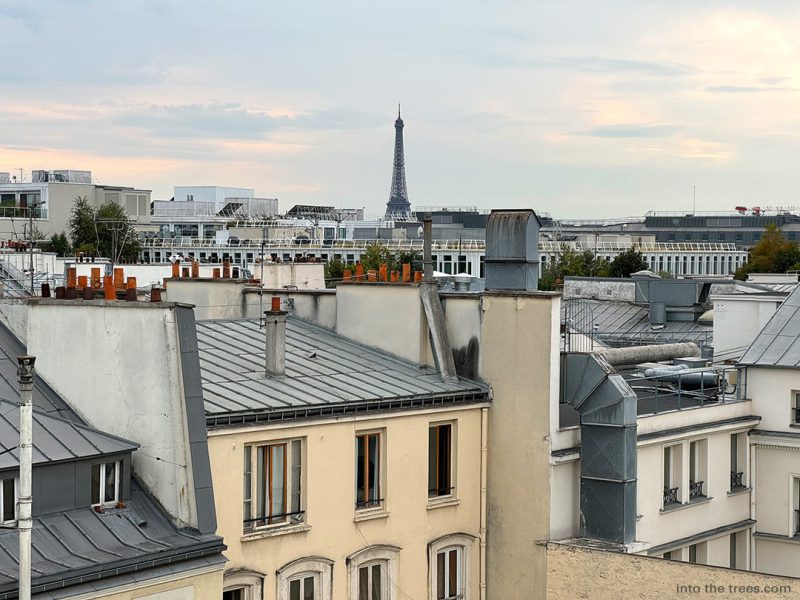 View of the Eiffel Tower from a rooftop terrace.